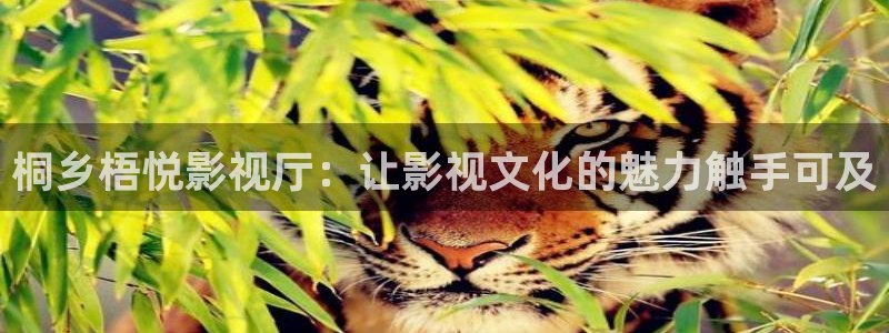 星海之外定档海报