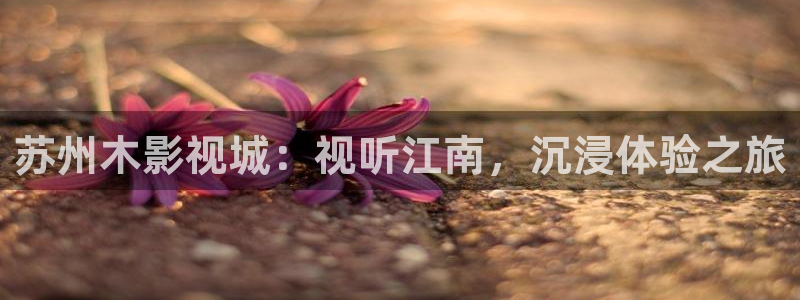 星海之外定档海报