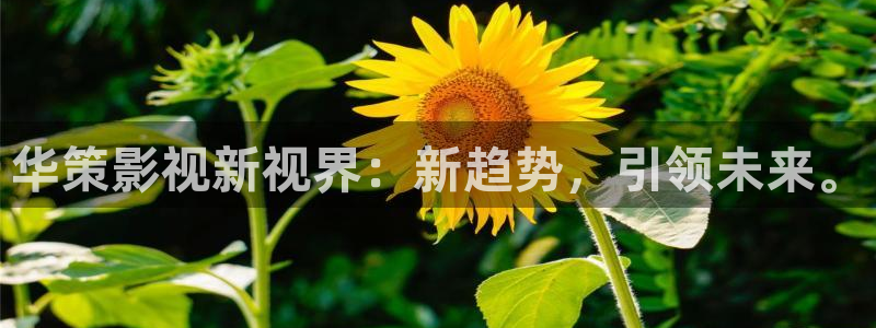 星海之外定档海报